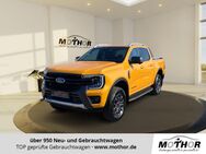 Ford Ranger, 2.0 Wildtrack Ecoblue KAM360, Jahr 2023 - Gardelegen (Hansestadt)