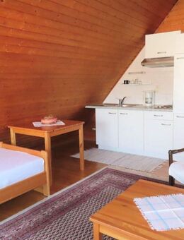 Möbliertes Singleapartment - 1 ZKB in KS-Am Lindenberg - Kassel