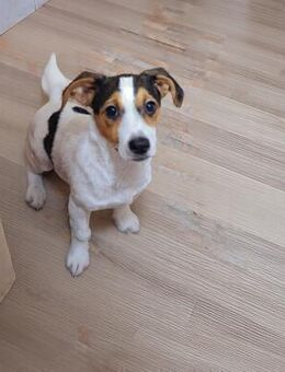 Hope, sanft und freundlich (E) - Ludwigshafen (Rhein)