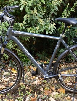 Herrenfahrrad 30 Gg Shimano Deore - Neustadt (Weinstraße)