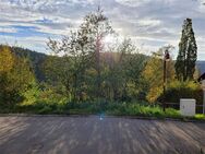 Grundstück in der Wasserfallstadt Triberg zu verkaufen - Triberg (Schwarzwald)