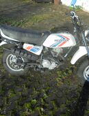 Honda Dax CY Bj 9/1978 Km 10,000 Garagenfund in 75446