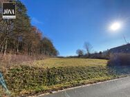 Ländliche Idylle - großzügiges Grundstück mit Wiese und Wald in Kirchleus - Kulmbach