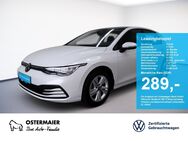 VW Golf, 2.0 TDI VIII LIFE 150PS APP-C, Jahr 2023 - Vilsbiburg