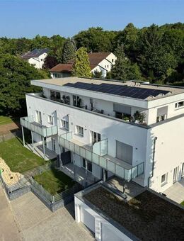 Top Energiebilanz: Energiekennwert A+ und KfW40+ an einer der letzten Südhanglagen Ulms - Ulm