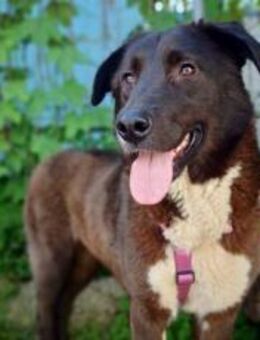 Miss Universum Lene - München