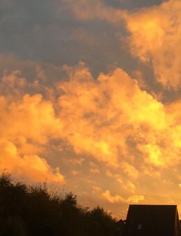 Last Chance? - Wilhelmshaven