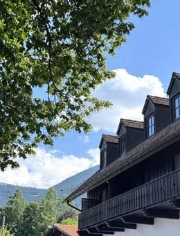 Frisch renovierte Wohnung im Herzen von Bad Kohlgrub - Bad Kohlgrub