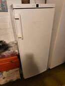 Liebherr Gefrierschrank GN 2153 in 50374