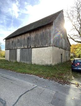 Haus mit Scheune sucht Handwerker oder Neuentwickler - Heiligenstadt (Oberfranken)