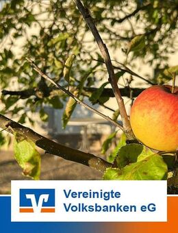 Apfelbaum mit Haus suchen lebendige Familie! - Böblingen