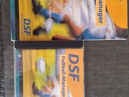 DSF Fussball-Manager aus 1996 - Essen