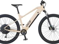 Prophete E-Bike Mountainbike Dice 2.0, 9 Gang Shimano Alivio Schaltwerk, Kettenschaltung, Heckmotor, 480 Wh