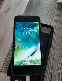 Apple iPhone 5S Spargelgrau - Odenbach