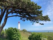 Lust auf ein kleines Stelldichein auf Hiddensee... - Schaprode