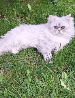 Britisch Laghar - Eichstätt