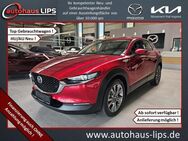 Mazda CX-30 SKYACTIV-X 2.0 M-Hybrid Edition 100 | HUD - Bad Kreuznach