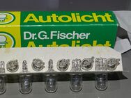 Autolicht Dr.G.Fischer 10-2521 12V 5W - Spraitbach