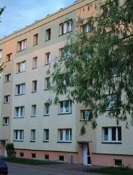 IIM: Verkauf Mehrfamilienhaus mit 40 Wohneinheiten in Sachsen Anhalt - Seehausen (Altmark, Hansestadt)