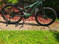 E-Bike Specialized Turbo Levo Expert Carbon 2021 - Siegburg