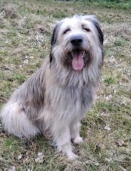 Camillo wartet auf seine Chance - München