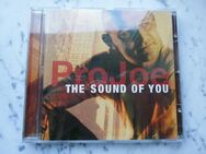 ProJoe The Sound Of You EAN 4029856396163 Soul CD 2002 Gerth Music 3,- - Flensburg