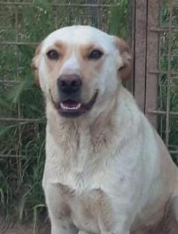 Menta ❤️ mit allem und jedem verträglich - Bad Karlshafen