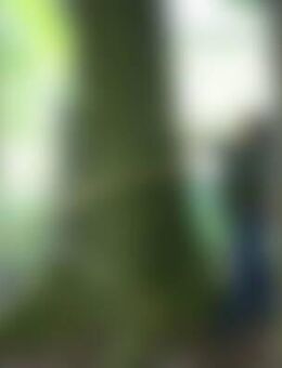 Bar*** - Emmendingen