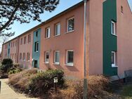 3 Zimmerwohnung in gepflegter Wohnanlage - Munster