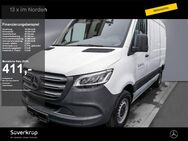 Mercedes Sprinter, 315 Kasten MBUX TWA, Jahr 2023 - Kiel