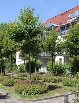 Interessante 2 - Zimmer ETW in ruhiger Wohnlage mit Balkon - Dresden