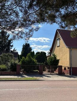 Doppelhaushälfte mit schönem Grundstück in Dessau - Waldersee !! - Dessau-Roßlau