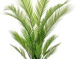 Kunstbaum Areca Palme im Topf künstlich Kunstpalme Kunstpflanze Goldfruchtpalme, I.GE.A., Höhe 130 cm, Kunstbaum Dekopflanze Zimmerpflanze Zimmerpalme Tropische Grünpflanze in 00000