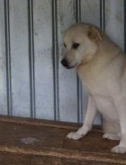 Wer schenkt Leroy einen Neuanfang? - München