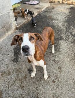 Mami Kira - Lorsch (Karolingerstadt)