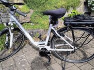 Damen E-Bike Trekking City Diamant Mandara EDT 28 / 50 weiß - Albstadt