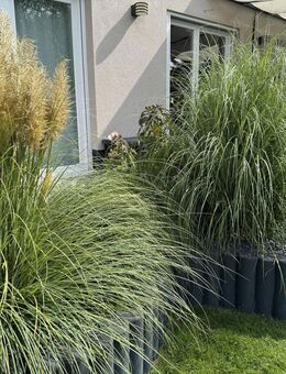 Stilvolles Wohnen in Bestlage - moderne Stadtvilla mit 157 m² Wohnfläche - Schulzendorf