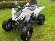 Yamaha Raptor 250 - Merzen