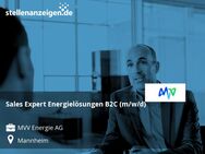 Sales Expert Energielösungen B2C (m/w/d) - Mannheim