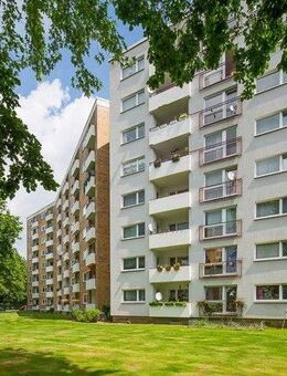 Alles frisch saniert, das ist garantiert! - Braunschweig