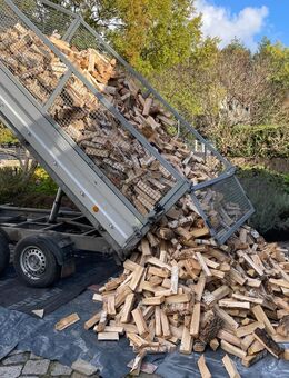 Brennholz Kaminholz Eiche Buche Birke - Lauchhammer