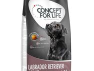 Concept for Life Labrador Retriever Adult - Sparpaket: 4 x 1,5 kg