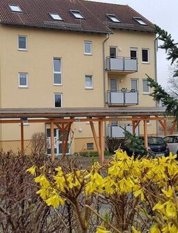 3-Raum-Erdgeschoss-Wohnung am Stadtrand mit Terrasse - Keller - KFZ-Tiefgaragen-Stellplatz - Dresden