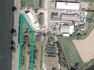 Zukunftsinvestition: Grundstück mit rund 3.450 m² Fläche in Kenzingen - Kenzingen