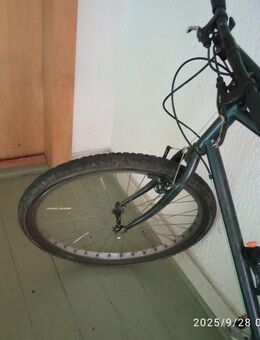 Verkaufe gebrauchtes Herrenbike 30 💶 - Essen