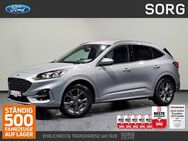 Ford Kuga, 2.0 EcoBlue ST-Line X, Jahr 2024 - Fulda