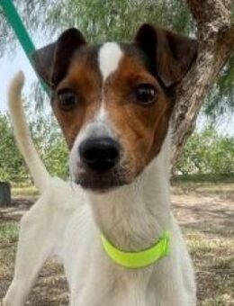 Zero - Zuhause gesucht - Duisburg