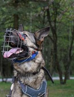 MEXX braucht Auslastung u.Beschäftigung - Reisbach