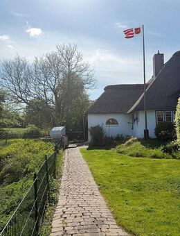 Ruheoase unter Reet - Nordhastedt