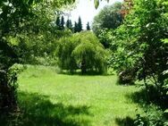 Kauf oder Pacht mit Wohn-Option: 1.500 m² naturnahes, sehr schönes Gewerbe-Baugrundstück - Rodgau